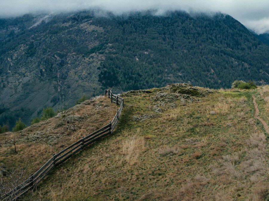 Men ASI Approved Products