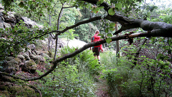 Orienteering – arrive together